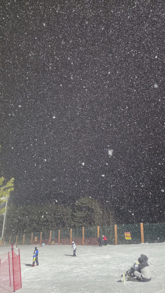 법률사무소 디에이 동계 워크숍 설경