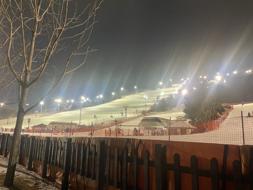 법률사무소 디에이 동계 워크숍 스키장 전경