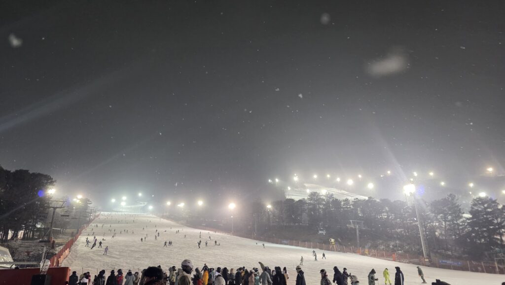 법률사무소 디에이 동계 워크숍 스키장 전경